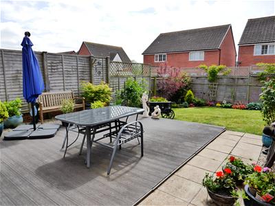 Picture 20